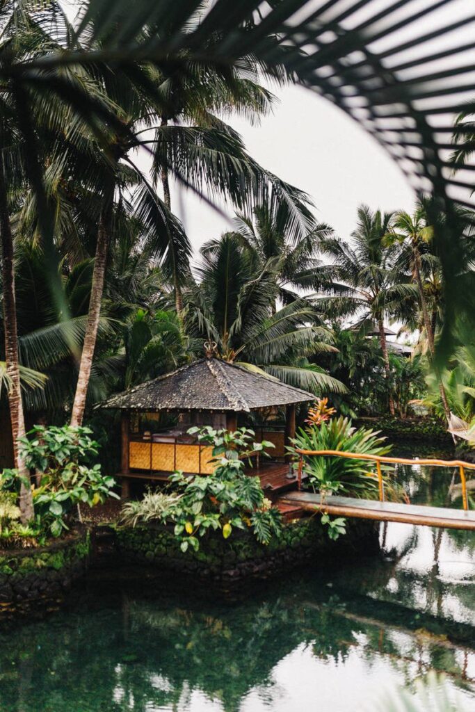 Gym-Free At-Home Holiday Workout: No Equipment Needed!